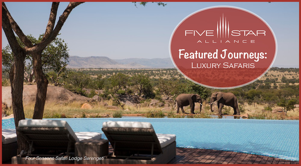 Featured Journeys: Luxury Safaris