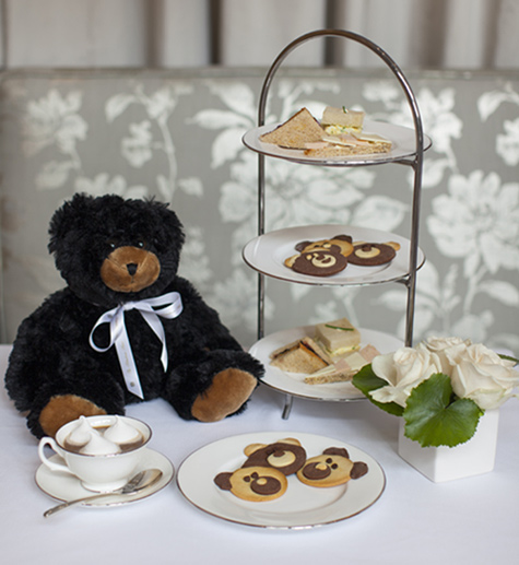 Rittenhouse Hotel Teddy Bear Tea