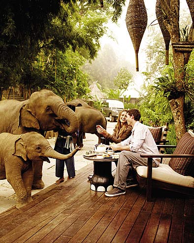 Image of the Day: Four Seasons Tented Camp Golden Triangle | Five Star  Alliance